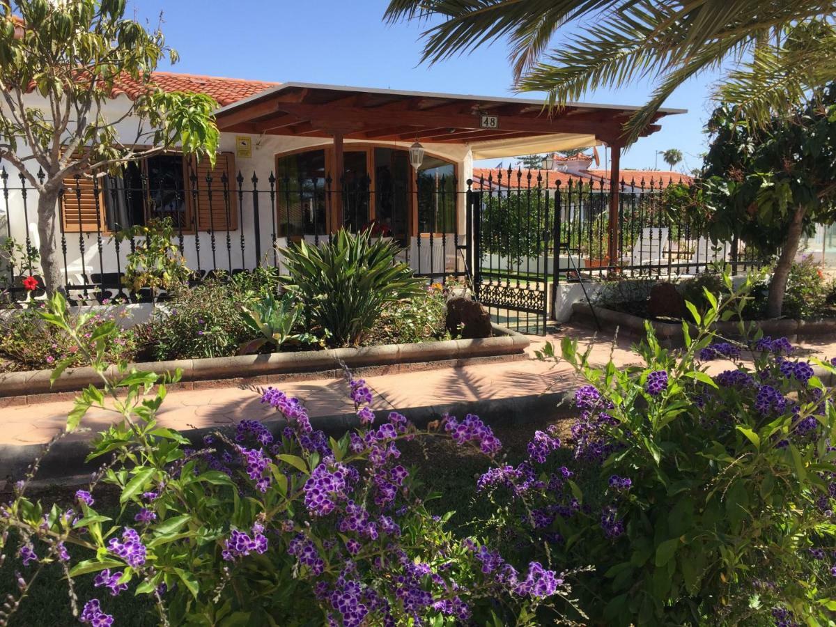 Los Porches Rosario Playa del Inglés Extérieur photo